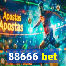 88666 bet